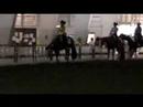 GP Miss Lopin Impulse - FOR SALE - SOLD