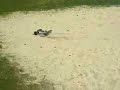 Bash Crew Goslar - Kyosho DBX Bash Crew Goslar - Kyosho DBX