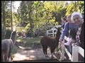 Katie02pt1.divx