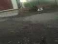 vinade se cae