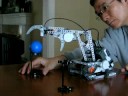 Grasp ball machine