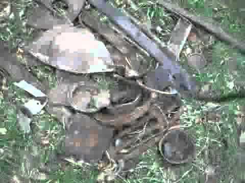 wykrywacz metali - ACE 250 , z gory uprzedzam - on sie świruje.