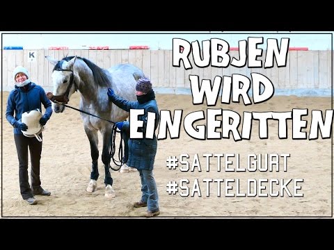 RUBJEN WIRD EINGERITTEN ✮ Longiergurt + Satteldecke ♥