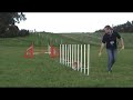 Buggy training weaves