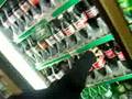 Drunken Lame-Ass Mission for 7/11 Cookies