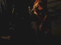 festa no colorado
rastap� -no embalo do forro