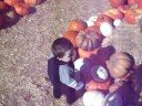 Lil Pumpkin
