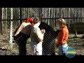 TV Show 3 - The Okefenokee Swamp TV Show 3 - The Okefenokee Swamp
