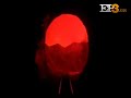 Pel�culas de halloween en ep3.es