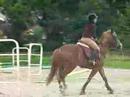 dimanche 17 juin su rle cso galop 4