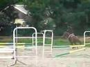 dimanche 17 juin su rle cso galop 4