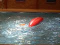 nebby kayak roll nebby kayak roll