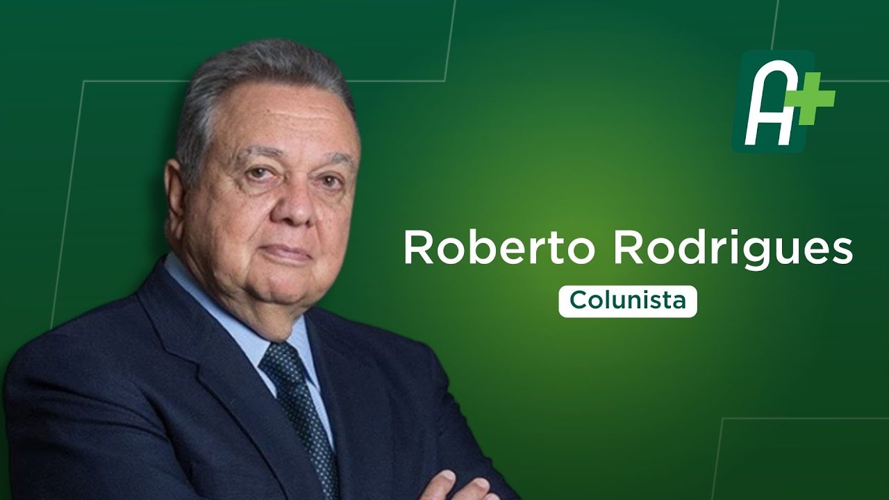 Rio Grande do Sul: impacto da produção gaúcha para o Brasil