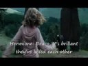 Harry\\Hermione\\Ron Part 2
