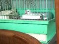 携帯電話からアップロードした動画