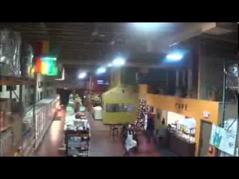 how to grow ugu leaf