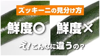 ズッキーニさまご確認用ページ mqdefault.jpg