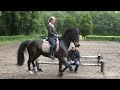 Reitstunde mit Attila