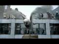 Carrier Pigeons