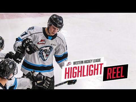 2019-20 HIGHLIGHT REEL | Owen Pederson