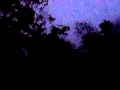 Rain Storm with Trees