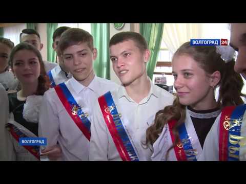 Носки на год в кейсе Командирские купить по Необычные подарки. Витаминки счастья. Обсуждение на LiveInternet
