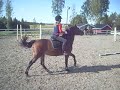 Visar sarja 2008