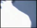 With Transparent Wings - Klaha
