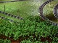 Transport Giant