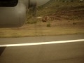 Scary Take-Off from Saba - June 5th, 2010