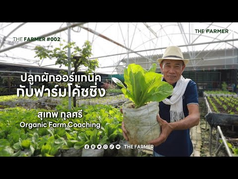 "ปลูกผักออร์แกนิค" กับฟาร์มโค้ชชิ่ง สุเทพ กุลศรี | THE FARMER