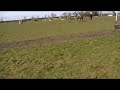 XC training Boomerang stables Libby + Sammy 15/03/09