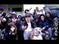 Dogenham Alliance - Sarga House