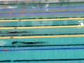 videos de Campionati Europei Juniores di Salvamento 2008 - Eindhoven