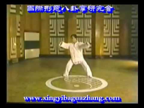 形意Bagua - 形意八卦掌第一掌鹰掌教學片(徐連生老師示範) Xingyibaguazhang - Swallow Palm (demonstrated by master Lian-Sheng Xu) www.xingyibaguahzang.com.