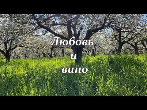 Любовь и вино (клип)
