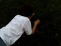 videos de Enforcer 1&2