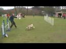 Interclub du Limbourg 9.03.08