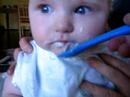 Finjas First Meal 2 Finjas First Meal 2