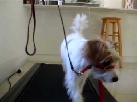 DSCF2219.AVI