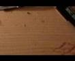 Assistir ao v�deo
