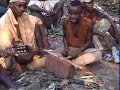 nawa live in the cameroon rainforest