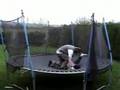 Tom Nolan Jnr Greatest Hits 'N' Misses
