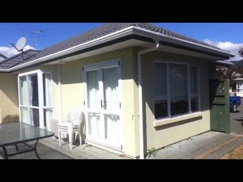 how to treat borer nz