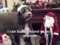 videos de Wiley's Christmas Dilemma