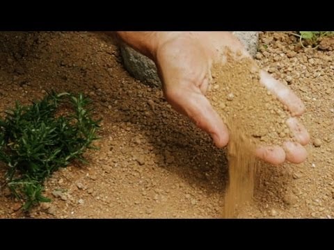 How to Pick the Right Plants for your Garden (1.5)