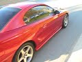 SN95 Mustang Walk Around
