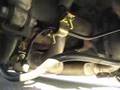 SN95 Mustang Walk Around