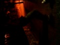 MOV0073901,,