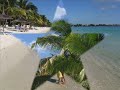 Paysage mauricien : Plage et foret Paysage mauricien : Plage et foret